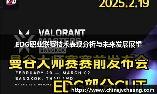 EDG职业联赛技术表现分析与未来发展展望